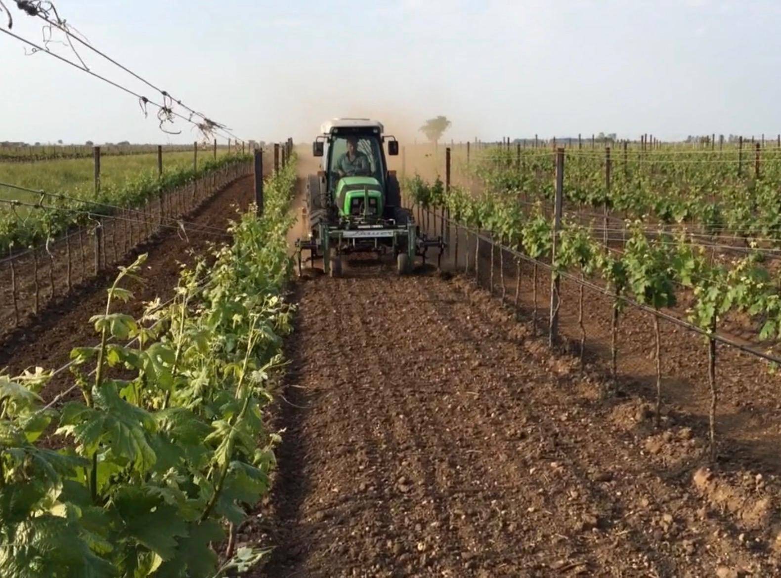 Bild von Arbeit am Feld